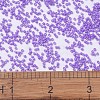 MIYUKI Delica Beads SEED-X0054-DB1379-4