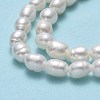 Natural Cultured Freshwater Pearl Beads Strands PEAR-J006-08C-01-4