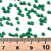 12/0 Glass Seed Beads SEED-S060-A-F280-5