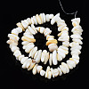 Natural Trochid Shell/Trochus Shell Beads Strands SHEL-S258-080-A01-2