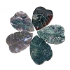 Natural Moss Agate Display Decorations G-PW0004-30-3