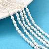 Natural Cultured Freshwater Pearl Beads Strands PEAR-I007-01O-01D-1