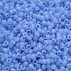 TOHO 6/0 Round Beads X-SEED-TR06-1146-4