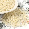 Cylinder Seed Beads SEED-H001-H23-3