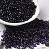 Transparent Colours Glass Seed Beads SEED-P006-02A-12-1
