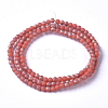 Electroplated Frosted Glass Bead Strands EGLA-G071-B01-3