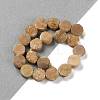 Electroplated Natural Druzy Agate Beads Strands G-M433-01H-2