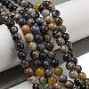 Natural Sodalite Beads Strands G-F591-13A-3