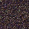 MIYUKI Delica Beads Small X-SEED-J020-DBS1055-3
