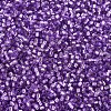 MIYUKI Delica Beads SEED-MY11-DB1343-3
