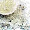 Glass Seed Beads SEED-H002-A-A627-1