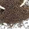 TOHO 11/0 Demi Round Beads Y-SEED-DR11-0204-3