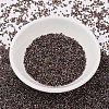 MIYUKI Delica Beads SEED-MY11-DB2207-2