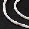Natural Freshwater Shell Dyed Beads Strands SHEL-M018-12-12-4