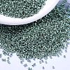 MIYUKI Delica Beads X-SEED-J020-DB1846-1