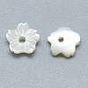 Natural White Shell Beads SSHEL-S260-011-2