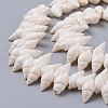 Natural Spiral Shell Beads Strands X-BSHE-I016-07-3