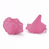 Transparent Acrylic Beads BSF796-C16-2