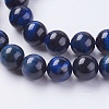 Natural Tiger Eye Beads Strands G-G544-10mm-04-3