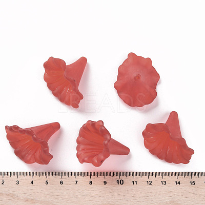 Transparent Acrylic Beads X-BSF796-C12-1