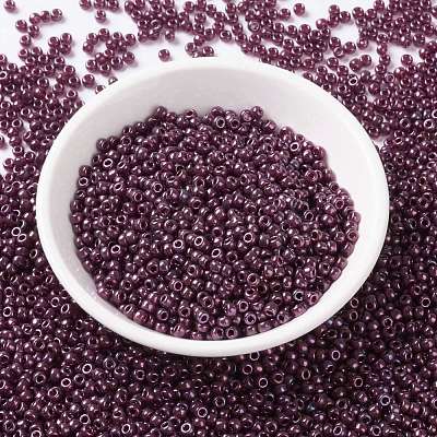 MIYUKI Round Rocailles Beads SEED-JP0009-RR0313-1
