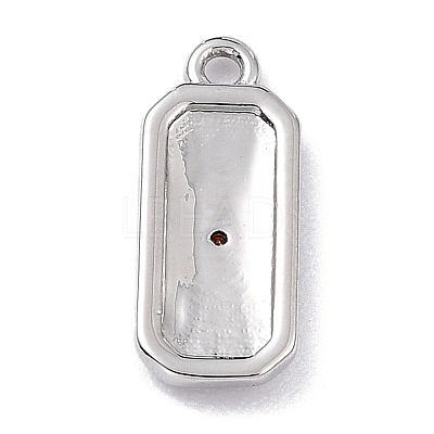Brass Micro Pave Cubic Zirconia Charms LS-ZIRC-I054-12P-03-1