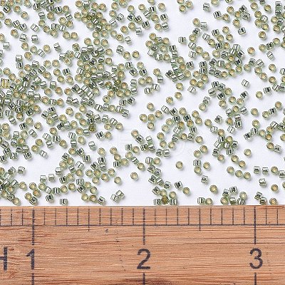 MIYUKI Delica Beads X-SEED-J020-DB2163-1