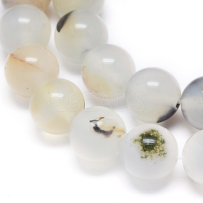Natural Dendritic Agate Beads Strands G-D0005-18-10mm-1