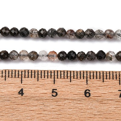 Natural Black Rutilated Quartz Beads Strands G-RM250104-C3-1