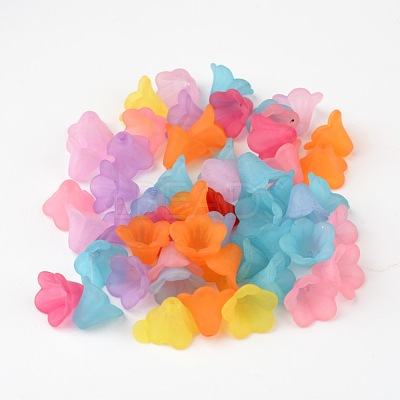 Mixed Color Frosted Acrylic Beads X-PL692-1