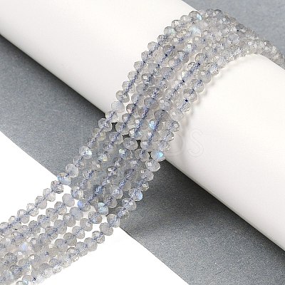 Natural Labradorite Beads Strands G-K366-A01-01-1