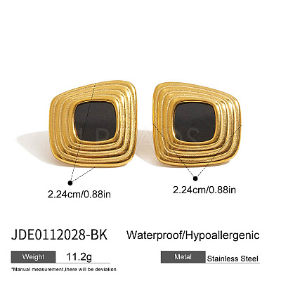 304 Stainless Steel Acrylic Nuggets Stud Earrings FS-WG2C215-01-1