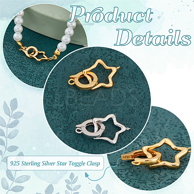 2Pcs 2 Colors 925 Sterling Silver Fold Over Clasps STER-PH0001-99-1