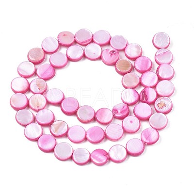 Freshwater Shell Beads Strands SHEL-T009-B16-03-1