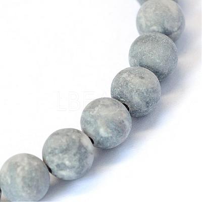 Frosted Natural Polychrome Jasper/Picasso Stone/Picasso Jasper Beads Strands G-E334-8mm-24-1