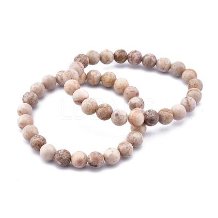 Natural Maifanite/Maifan Stone Bead Stretch Bracelets BJEW-K212-A-044-1
