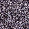 MIYUKI Delica Beads SEED-X0054-DB1067-3