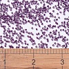 MIYUKI Delica Beads X-SEED-J020-DB0463-4