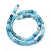Dyed Natural Weathered Agate Beads Strands X-G-F583-11E-2