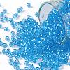 TOHO 8/0 Round Beads X-SEED-TR08-0163-1