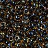 MIYUKI Round Rocailles Beads X-SEED-G008-RR0349-3