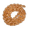 Transparent Glass Beads Strands EGLA-N013-T10mm-D21-2