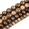Natural Persian Jade Beads Strands G-A255-A02-04E-2