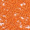 FGB 11/0 Grade A Glass Seed Beads SEED-S030-1019-2