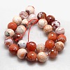 Natural Fire Crackle Agate Beads Strands G-L084-14mm-04-2