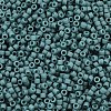 MIYUKI Delica Beads SEED-MY11-DB2407-2