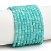 Natural Amazonite Beads Strands GG-CBA77FB-D02-01-2