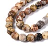 Natural Crazy Agate Beads Strands G-Q608-08A-05-4