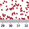 FGB 11/0 Grade A Glass Seed Beads X-SEED-S030-1016-4