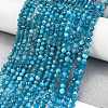 Natural Apatite Beads Strands X-G-Z057-B02-02-2